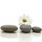 Build Resilience & Strengthen Your Immune System